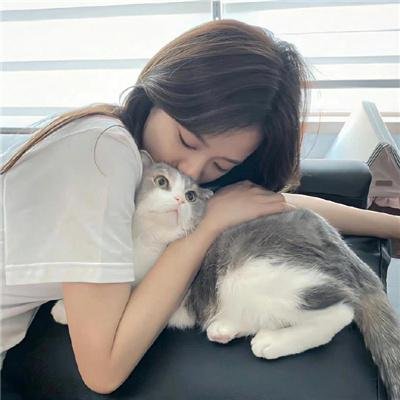 绅士的天启同盟